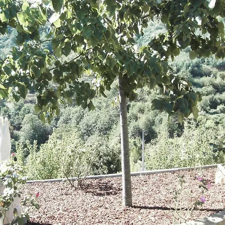 Casa Da Quinta De Ferreiros Casa de Férias *