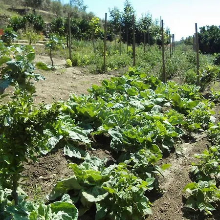 Сasa de vacaciones Casa Da Quinta De Ferreiros Lamego